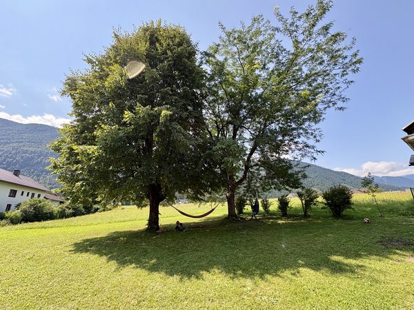 Großer Garten mit Hängematte zwischen Bäumen