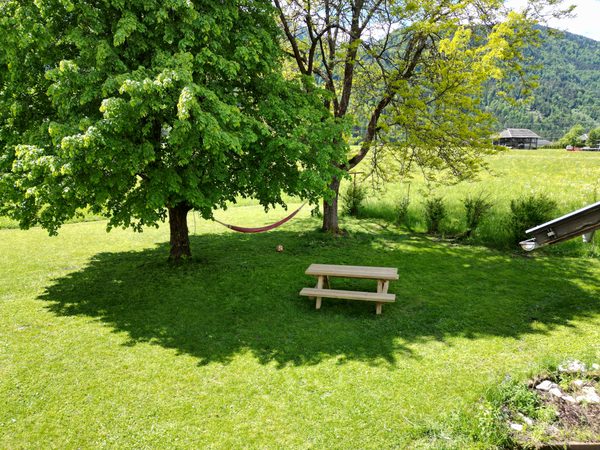 Hammock and table in the garden