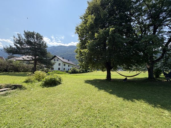 Garten im Sommer mit Bäumen und Wiese