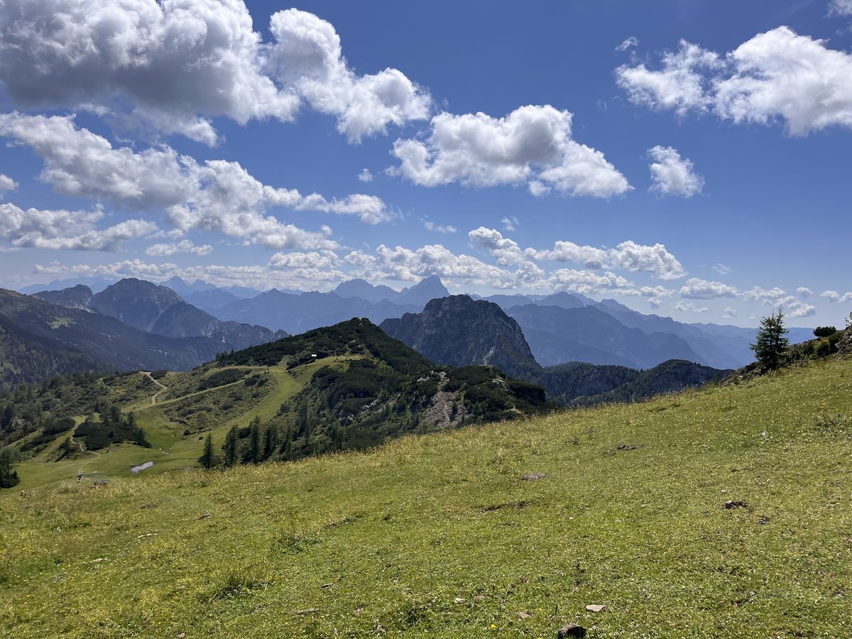 Almwiese mit Blick über das Gailtal Richtung Pressegger See