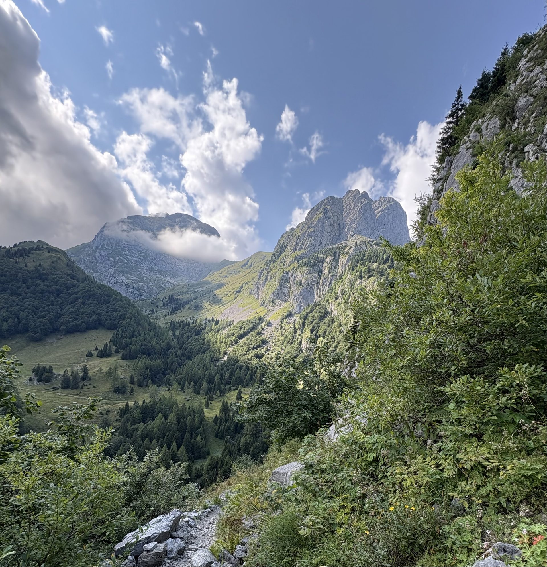 Sommerliche Berglandschaft mit Blick Richtung Pressegger See