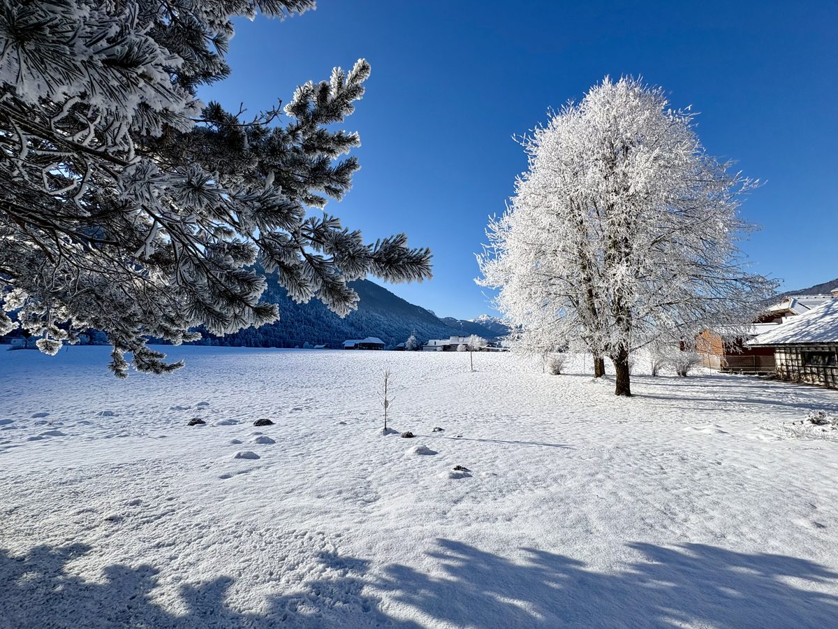 Winterlandschaft Nassfeld